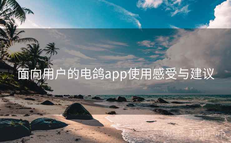 面向用户的电鸽app使用感受与建议