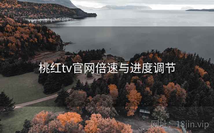 桃红tv官网倍速与进度调节