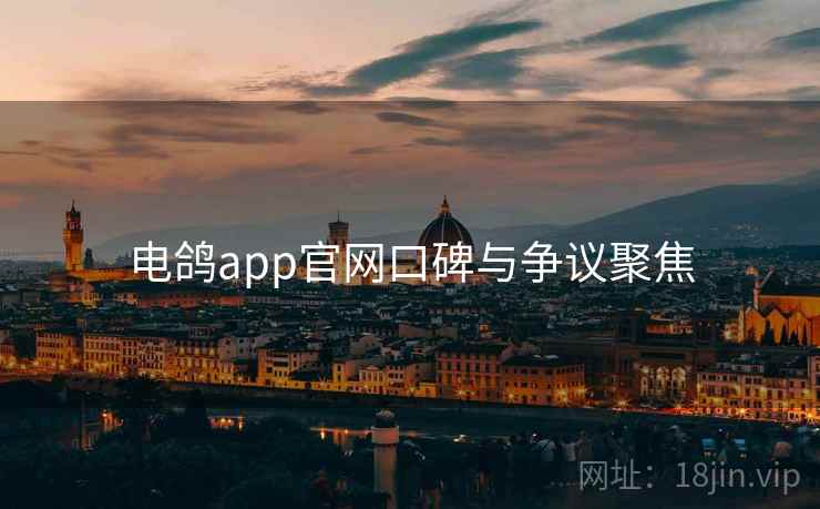 电鸽app官网口碑与争议聚焦